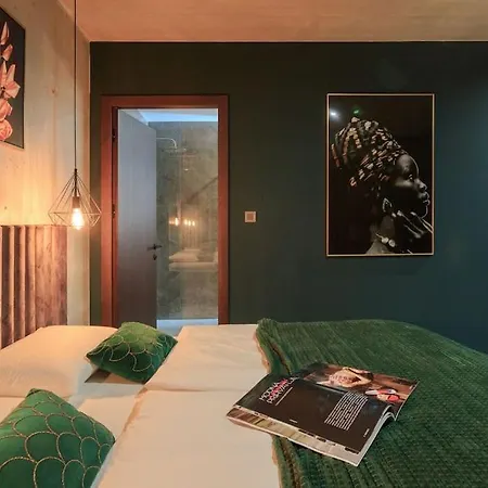 Besca With Heated Infinity Pool Vila Baska (Krk)